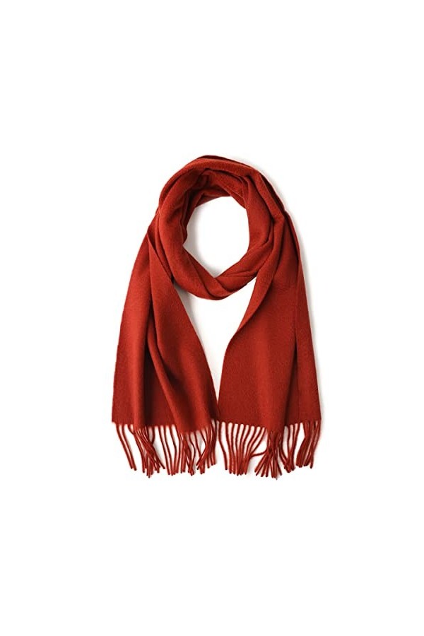Foulard en Soie, Écharpes Couverture pour Femme Pashmina Doux Chaud Pashmina Châle Toute Tenue Toutes Saisons Accessoire Vête