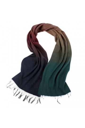 TZUFA Femmes cachemire châle écharpe hiver automne dames chaud décontracté Pashmina écharpe