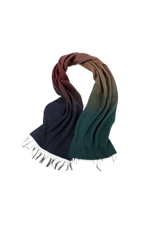 TZUFA Femmes cachemire châle écharpe hiver automne dames chaud décontracté Pashmina écharpe