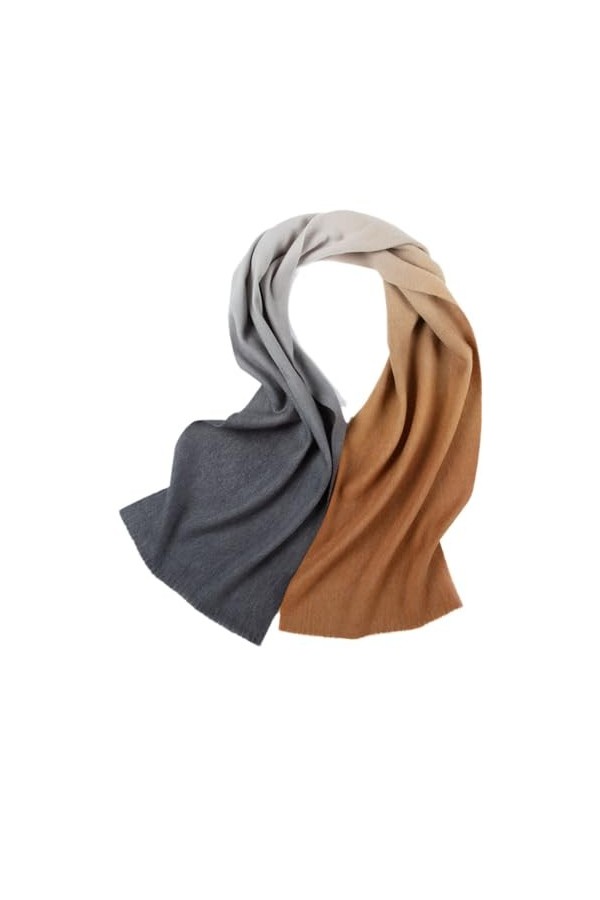 TZUFA Femmes cachemire châle écharpe hiver automne dames chaud décontracté Pashmina écharpe