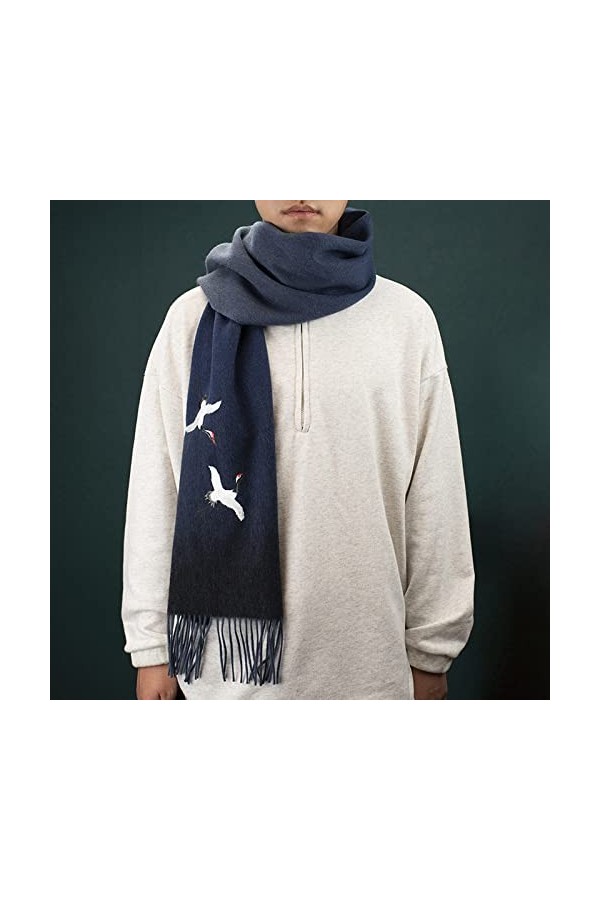 RFEGEF Femme Écharpe Pashmina,Dames Écharpes Et Châles Noir Rétro Dégradé Feihe Broderie Laine Gland Long Doux Hiver Écharpes