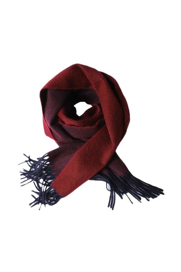 Écharpe Et Châles En Cachemire Pour Femmes Et Hommes, Écharpes En Cachemire Double Face, Longues Écharpes, Châle Dhiver COLO