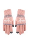 ADOSSAC Gants Tricotés dhiver pour Femmes Gants Femme Hiver Chaud Tactile Gants à Ecran Tactiles Tricotés Douce Motif de Ela