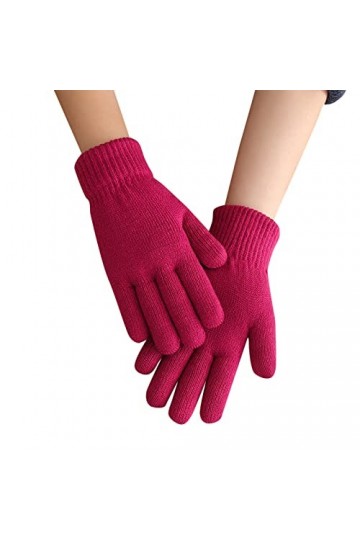 Moufles pour femme isolées par temps froid pour lautomne et lhiver Simple Mode Double Épais Gants chauds Gants Mitaines pou