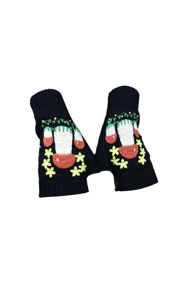 Moufles pour femmes par temps froid chauffants hiver européen et américain chaud adulte gants en laine tricotée brodée gants 