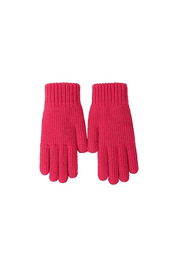 NANGYANG Moufles de Sports de Plein air pour Femmes Gants tricotés Hiver avec Fil Polaire extérieur Coupe-Vent et Gants Chaud
