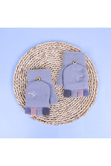 Liyinco Gants sans Doigts pour Dames dhiver, Gants en Tricot brodés en Peluche, Gants décriture de Bureau Chauds, Gants à D