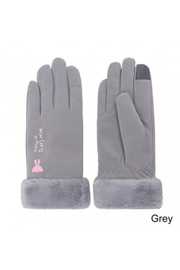 WSTYCSST Gants dhiver Femme Écran Tactile Imperméable À leau en Plein Air Épais Gants Chauds Femelle Moufles Élastiques