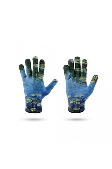 Gants Femme Hiver,Gants À Écran Tactile Pour Femme Gants Tricotés Chauds DHiver La Célèbre Peinture De Monet Impression De N