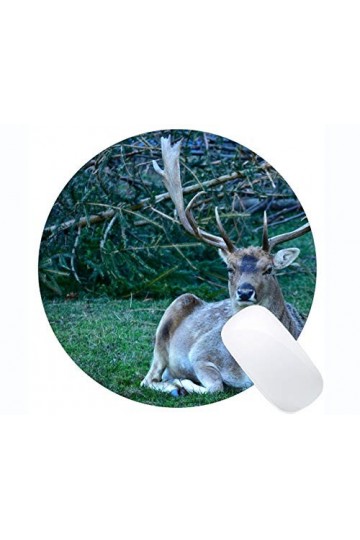 no brand WOTEMAILE Écran Tactile Sensitive Magic Stretch Moufles Hiver Chaud