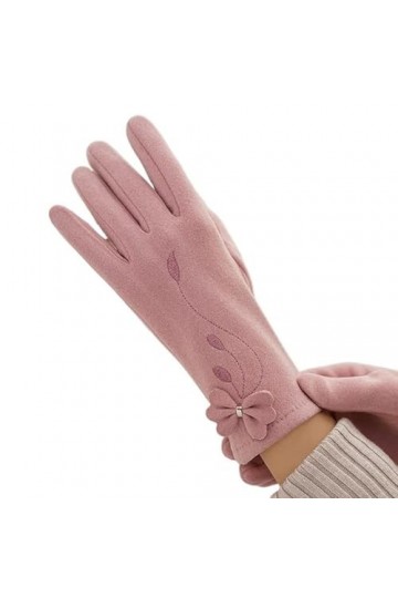 QLSWZC Gants Hiver Femme Chaud Gants Chauds dhiver for Femmes, écran Tactile épaissi, élèves déquitation Coupe-Vent Color 