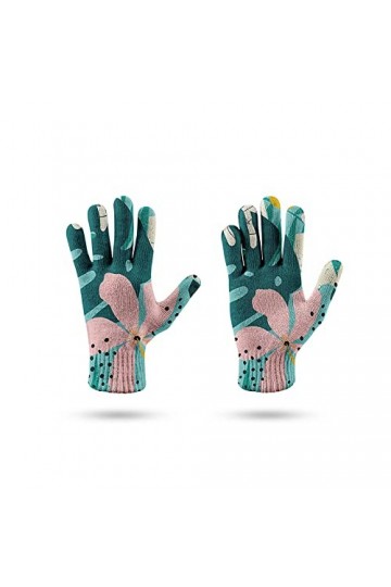 LIUZIXI Gants pour Écran Tactile - Automne Hiver Tricoté Chaud Épais Feuille De Fleur Abstraite Coupe-Vent Mitaines - Gants E