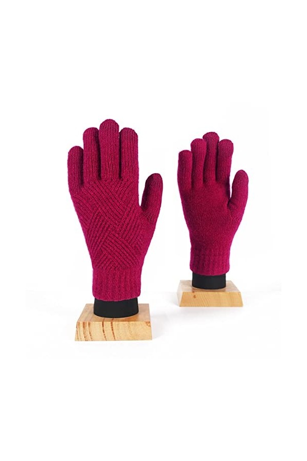 Liyinco Gants Chauds dhiver pour Femmes, Gants tricotés à Double Couche pour Adultes Gants épaissi en Peluche à lintérieur 