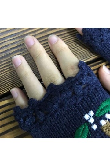 BUIDI Femmes tricotées étendre Les Gants sans Doigts Broderie Animale Mitaines Manchettes Chauffe-Poignets C.