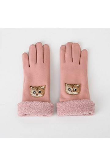 LUOXUEFEI Gants Broderie Féminine Plus Velours Épais Mitaines De Conduite Chaudes Femmes Gants en Tricot dhiver À Écran Tact