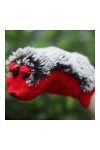 YUANYUAN520 Gants Tactiques Les Femmes dhiver Nouveaux Gants sans Doigts À Tricoter Chaud Mignon Moufles Gants Chauds 5 Coul