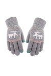 CABTRA Gants Gants Chauds Épaissis Pour Femmes En Automne Et En Hiver
