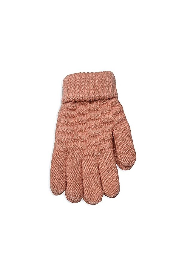 WANGFENG Gants dhiver pour Femmes en Tricot Et en Velours Épaissis Antidérapants Et Chauds pour Écran Tactile * 2