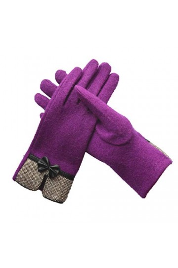 Écran Gants De Femmes Pour Téléphone Young Styles Hiver Vêtements Chauds Extérieur Mitaines Coupe-Vent Moufles Mitaines Colo