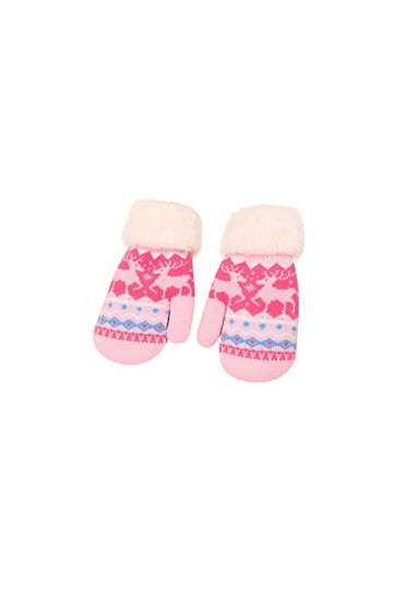 wrtgerht Gants Mitten Warm Fleece Mitaines Mignonnes et Mitaines épaissies for Femmes par Temps Froid Hiver chauffé Gants Co