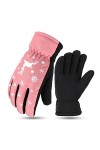 Gants Hommes et femmes dhiver plus Gants rembourrés en coton résistant à lusure à lessence Gants de motocyclette étanche à
