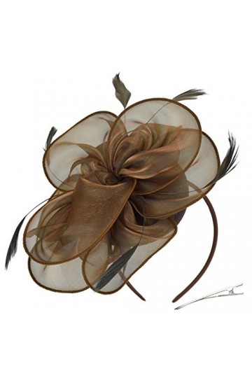 DRESHOW Fascinator Chapeau Plume Mariage Dames Day Bandeau et Clip Cocktail Tea Party Chapeau pour Fille et Femmes, Taille un