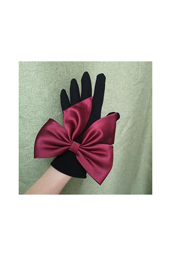 Roytil Gants de Protection Solaire dété Automne Hiver Gants en Peluche Robe de soirée à Doigts complets Femmes Gants de Cond