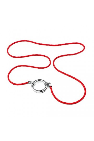 HOOLRZI Porte-lunettes Collier porte-lunettes simple porte-lunettes sangle chaîne porte-lunettes de soleil collier cordon ant