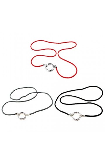 HOOLRZI Porte-lunettes Collier porte-lunettes simple porte-lunettes sangle chaîne porte-lunettes de soleil collier cordon ant