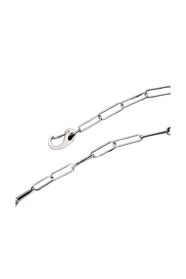 Gyrosphere Chaînes de Lunettes de Lunettes for Femmes Mode Lunettes Cordon Lunettes retenue