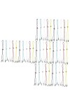Housoutil 40 Pcs Lunettes Sangle Lunettes De Soleil De Sport Lunettes Colorées Lunettes De Soleil Lunettes Sangle Lunettes Sa