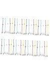 OSALADI 50 Pièces Lunettes Sangle Lunettes De Sport Sport Lunettes De Soleil Pour Lunettes Sangle Lunettes De Natation Sangle