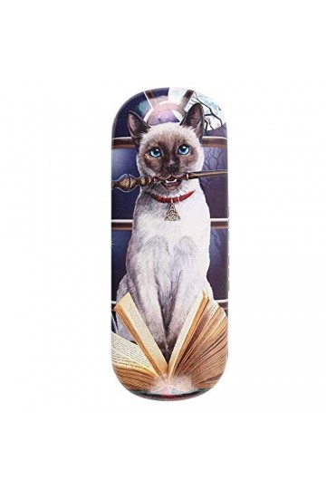 Hocus Pocus Glasses Case by Lisa Parker 12/24 