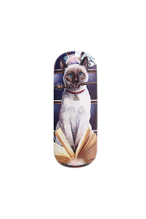 Hocus Pocus Glasses Case by Lisa Parker 12/24 