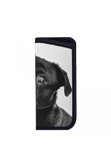 CZZYH Étui à lunettes souple et portable avec design coulissant pour homme et femme Noir mat, comme sur limage, 7cm x 16cm