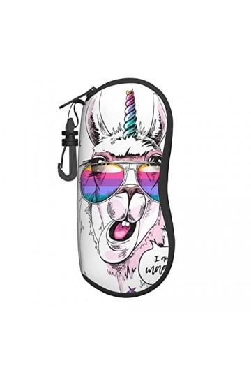 AOOEDM Lunettes de soleil étuis souples avec pince à ceinture Portable étui à lunettes drôle âne porter des lunettes néoprène