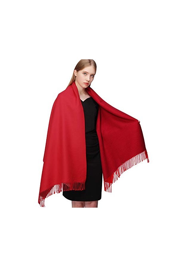 RIIQIICHY Écharpe en Laine Cachemire Hiver Pashmina Châle Pour Les Femmes Longues Grandes Écharpes Réversibles Chauds Épaisse