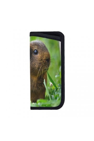 ASEELO Étui à lunettes de soleil élégant et portable en néoprène avec fermeture éclair pour femmes, hommes, filles, Feuilles 