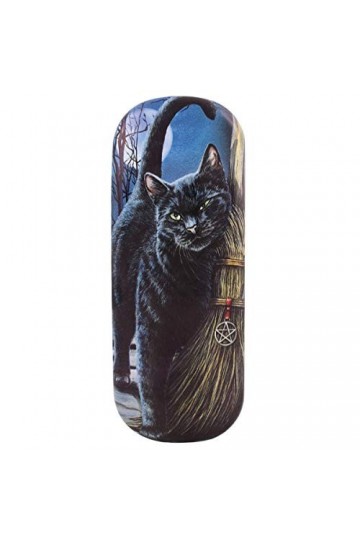 Brush With Magick Glasses case By Lisa Parker 12/24 