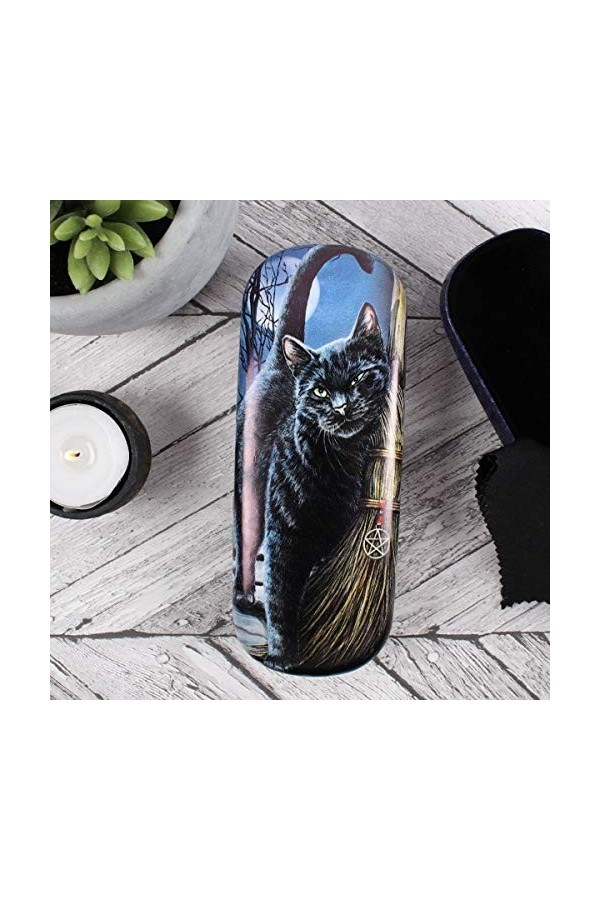 Brush With Magick Glasses case By Lisa Parker 12/24 