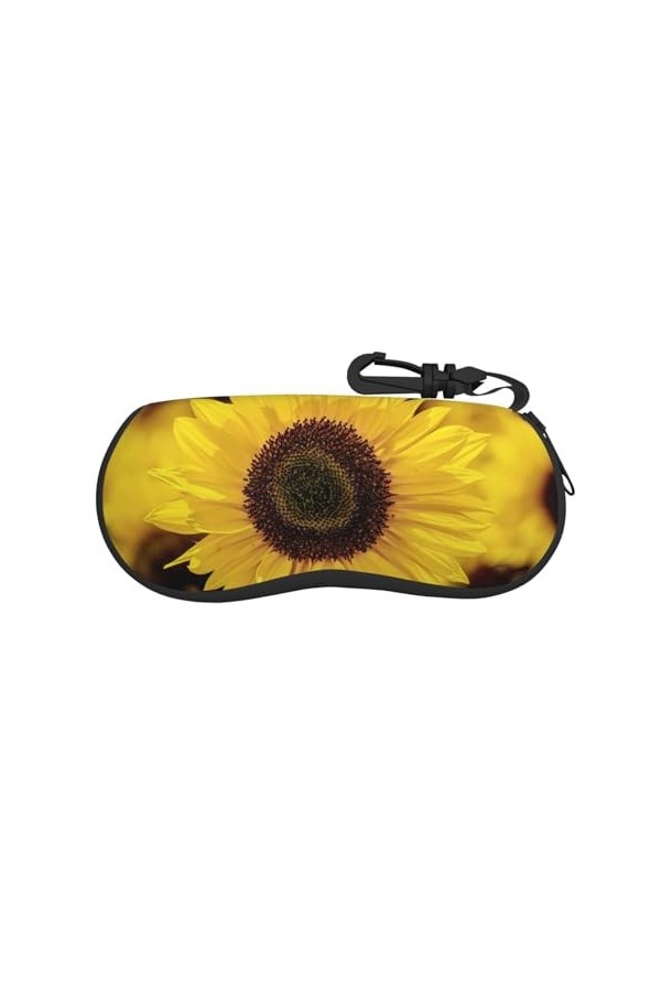 SATUSA Étui à lunettes à fermeture éclair avec fermeture éclair, pochette souple pour lunettes de soleil, étui de voyage port