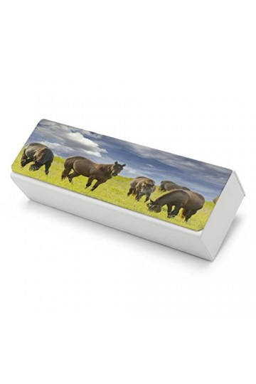 Etui À Lunettes Femme, Convient Également Comme Étui À Lunettes De Soleil - Avec Chiffon À Lunettes Offert Les Chevaux