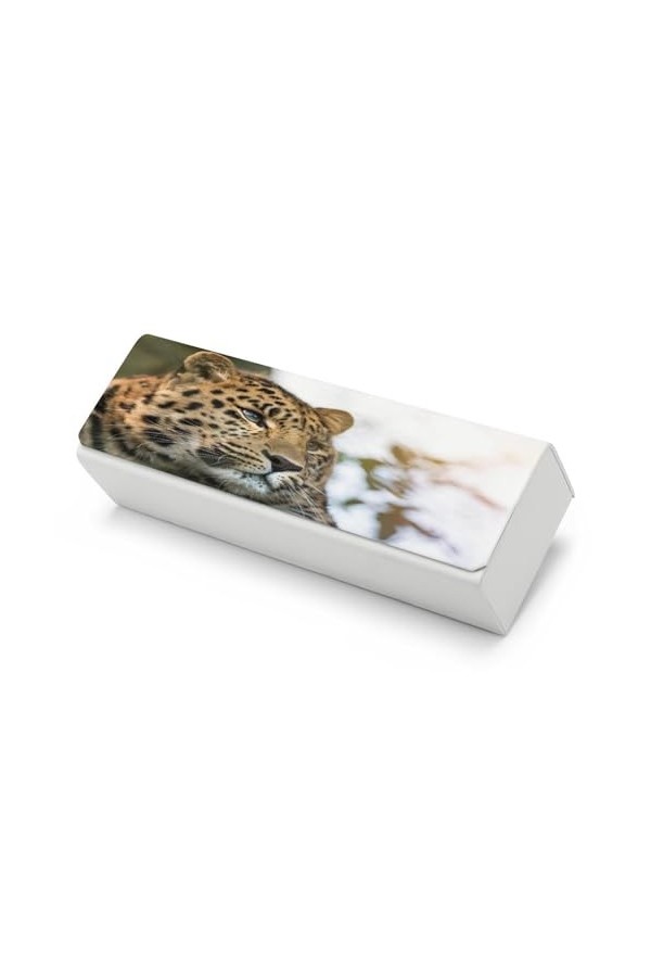 Fitspi Etui Lunettes, Etui Rigide Lunettes Lecture Pour Femme Homme Brown Horse