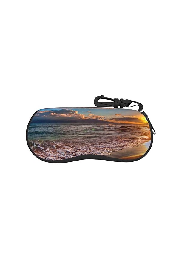 LAAVVA Étui de lunettes de soleil en néoprène ultra léger avec fermeture éclair et mousqueton en plastique, Adorable dauphin.