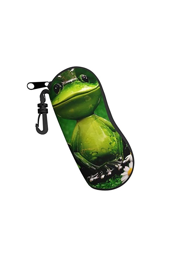Étui à lunettes mignon en forme de grenouille avec fermeture éclair, étui à lunettes ultra léger et pratique, Noir , taille u