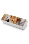 ASDTEHCY Smile Shiba Inu Étui à lunettes pour homme et femme, Smile Shiba Inu, taille unique