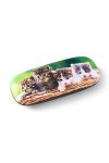 FEFI - Etui à lunettes KITTEN - Hardcase - avec housse en microfibre fine et chiffon assorti
