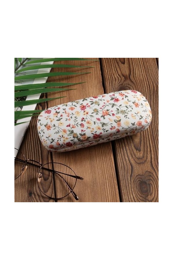 TIDTALEO 2Pcs Étui À Lunettes Pratique Étuis De Rangement Pour Lunettes Étui À Lunettes De Soleil Étui À Lunettes De Soleil P