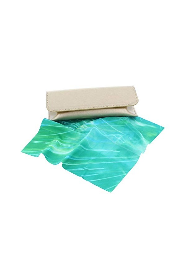 Élégant étui à lunettes de poche avec fermeture magnétique en or