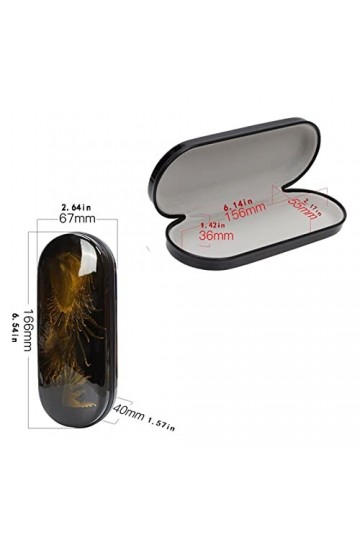 Boîte de Stockage Unisexe Boîtier de Lunettes Boîte de Verres de Lunettes de Lune Accessoires de Fierté pour Les Femmes Colo